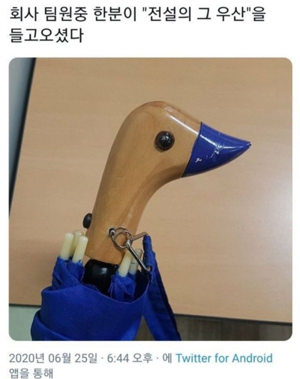 17119836530917.jpeg