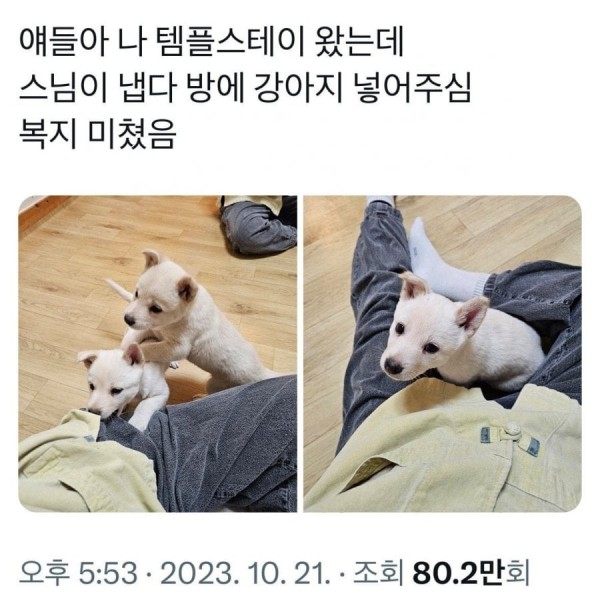 17120106726023.jpeg