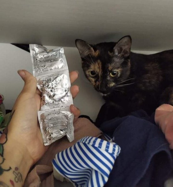 17120520767535.jpeg