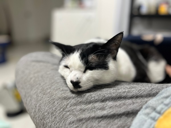17120772703445.jpeg