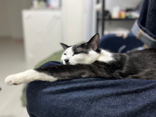 17120772721076.jpeg