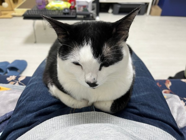 17120772771452.jpeg