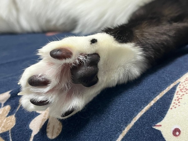 17120772790285.jpeg