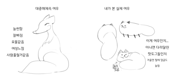 17120988870525.png