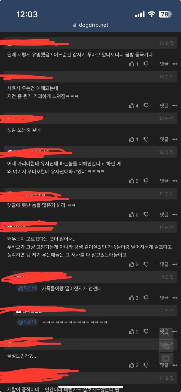 17121150675581.jpeg