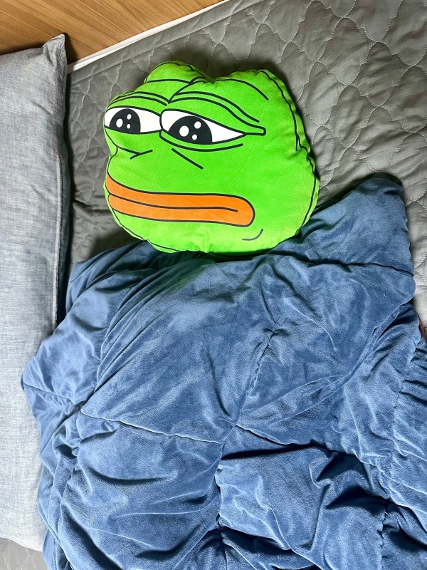 17121456665934.jpeg