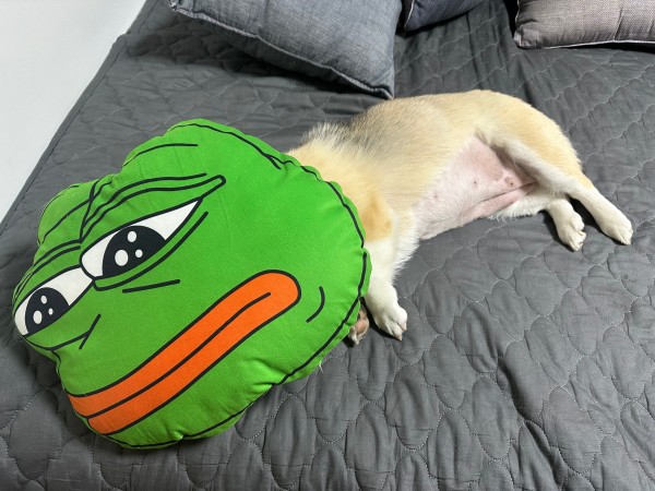 17121456703835.jpeg