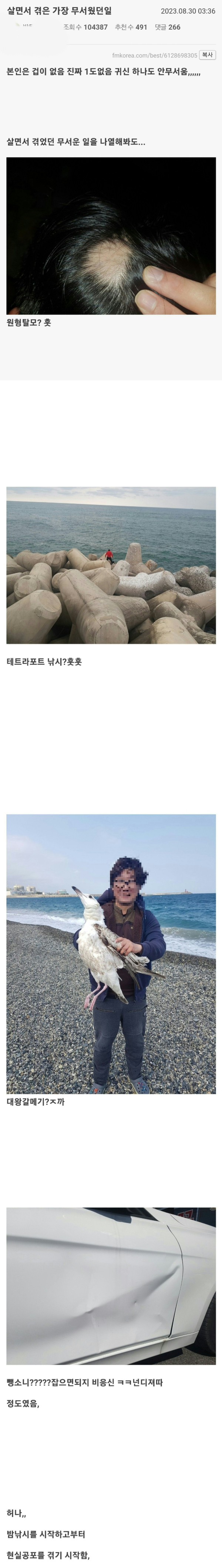 17121582641079.jpg