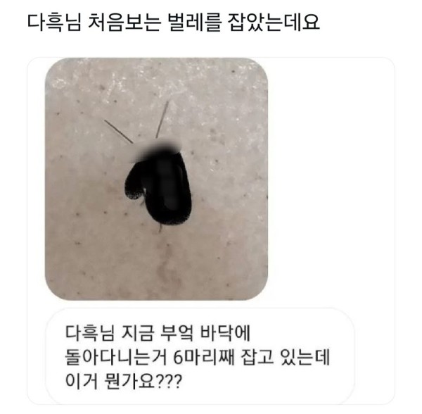 1712170905179.jpg