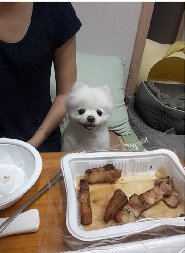 17121834635465.png