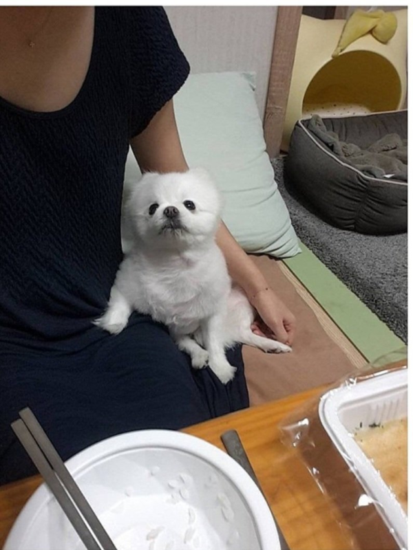 17121834678176.png
