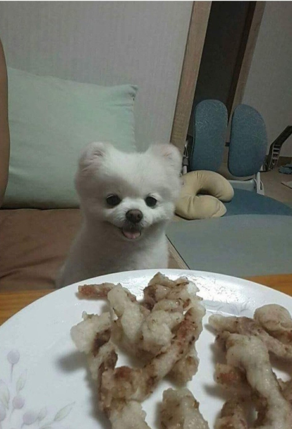 17121834719176.png