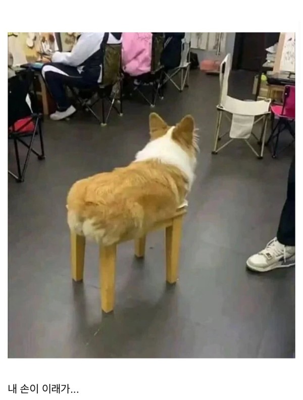 17122482774408.jpeg