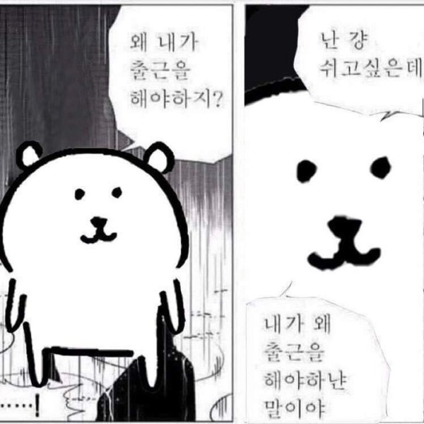 17122716726313.jpeg
