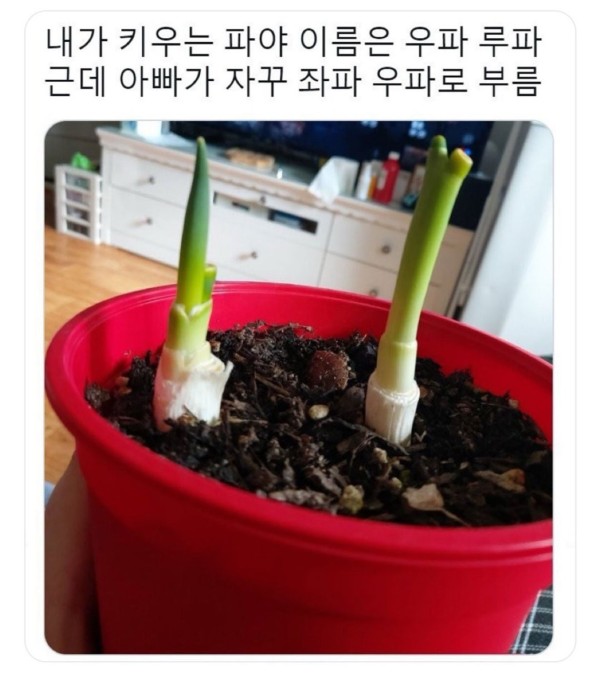 17123220712111.jpg