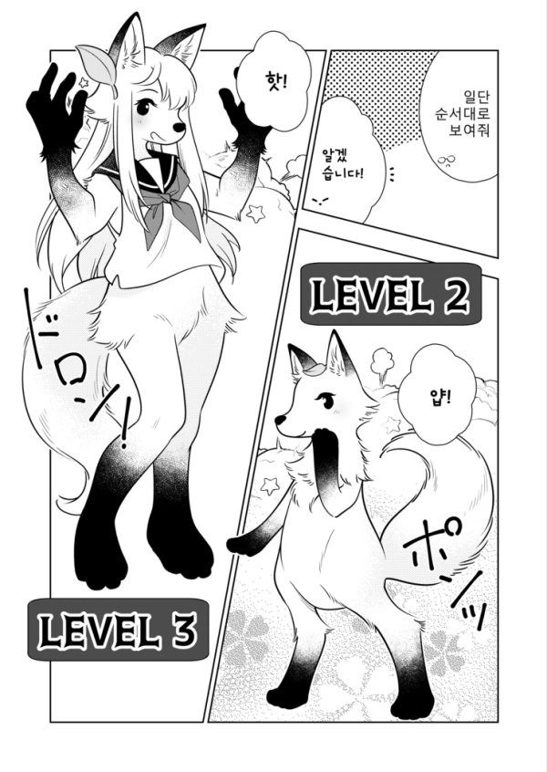 17123238895243.png