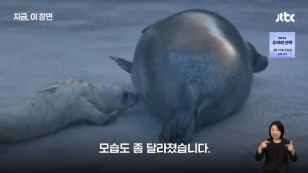 17123400727627.png