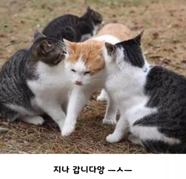 17123544606691.png