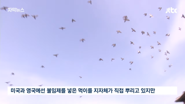 17125596895537.png
