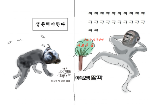 17125992668467.png