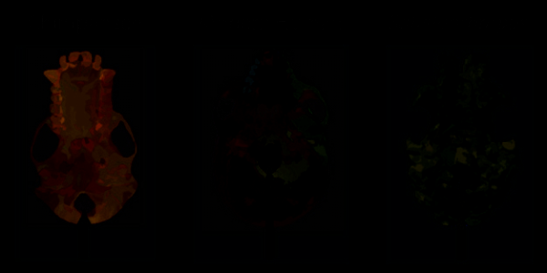 17125992762996.png