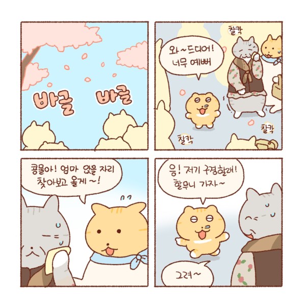 17126046893217.jpeg
