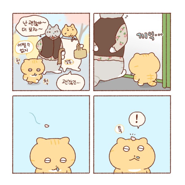 17126046917937.jpeg