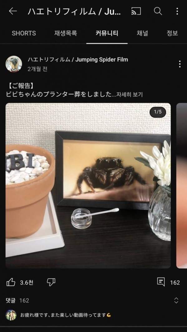 17126064801447.jpeg