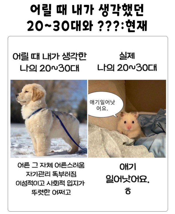171261730081.jpeg