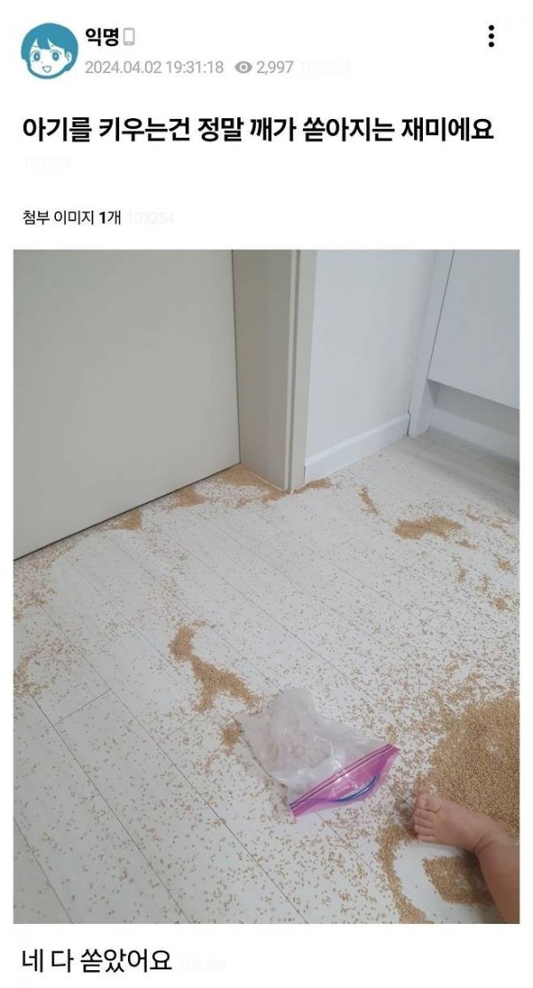 17126838713585.jpeg