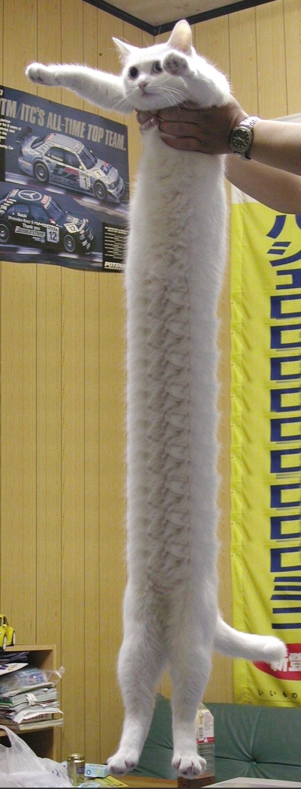 17127504973794.jpg