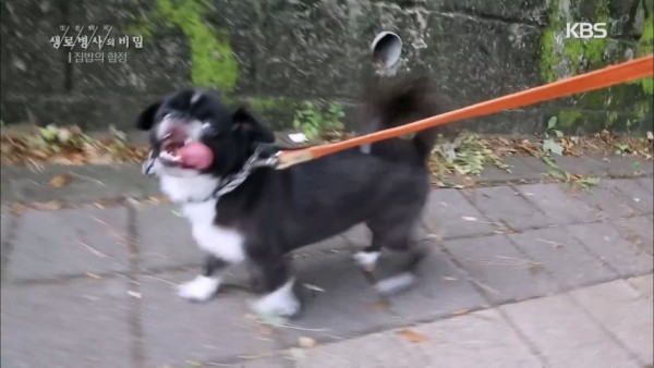17128602773003.jpg