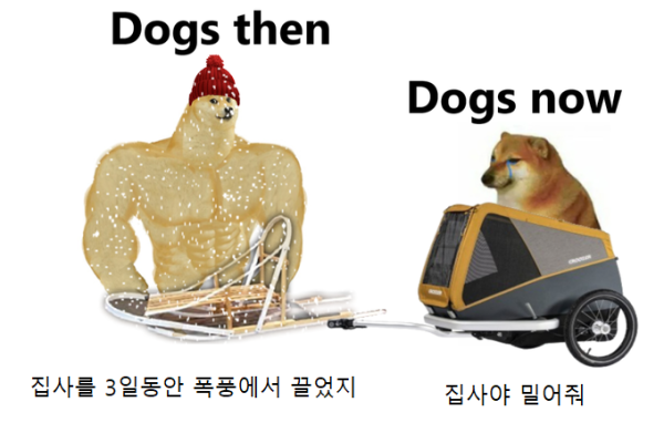 17128764502663.png
