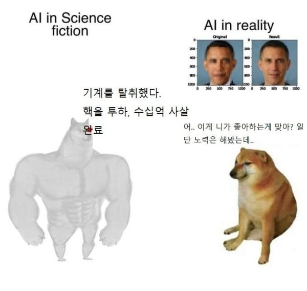 17128764506888.jpg