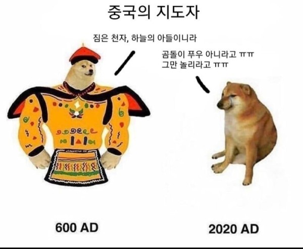 17128764512228.jpg