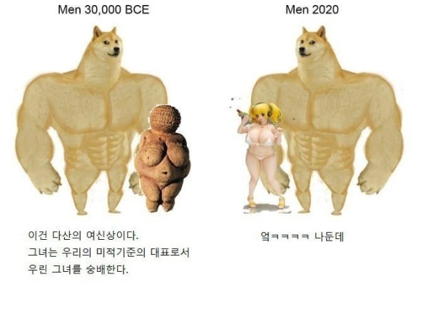17128764515065.jpg