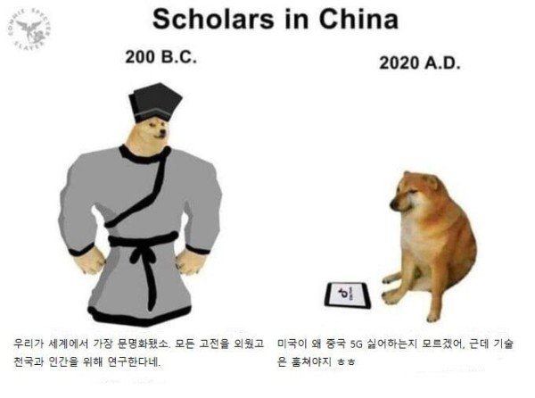 17128764526927.jpg
