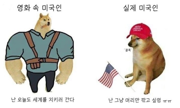 17128764548404.jpg