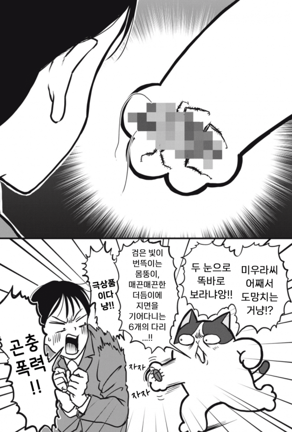 17129142945509.png