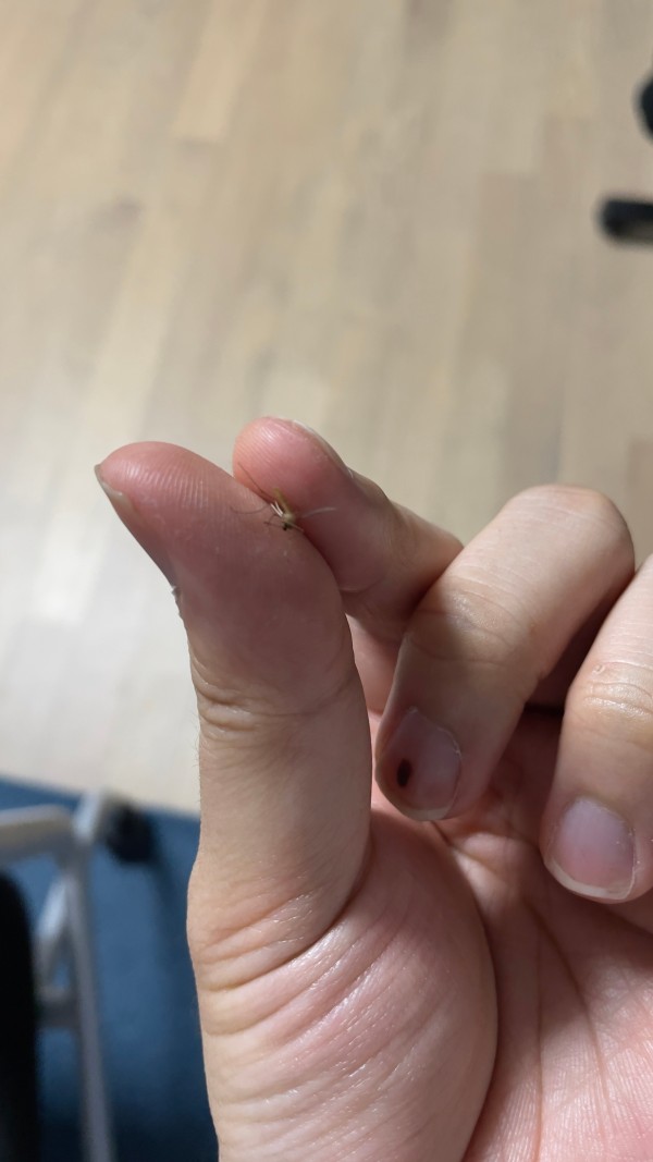 17130150543386.jpeg