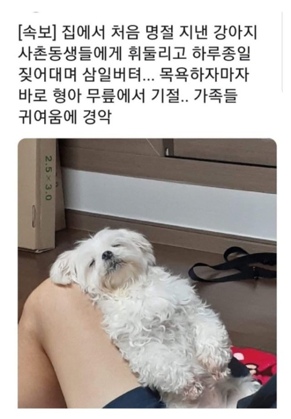 17130204727127.jpg