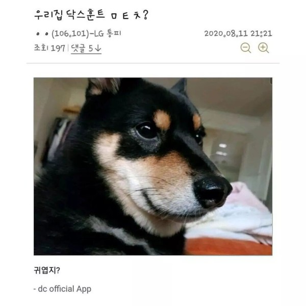 17131933079832.jpg