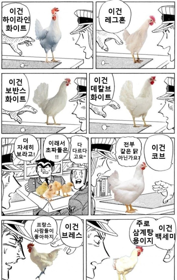 17132778260622.jpeg