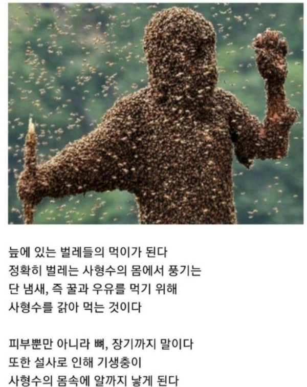 1713412869086.jpg