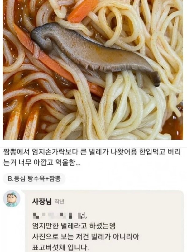 17136576283535.jpeg