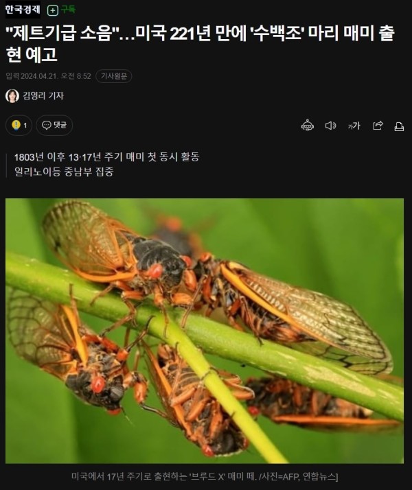 1713661249932.jpg