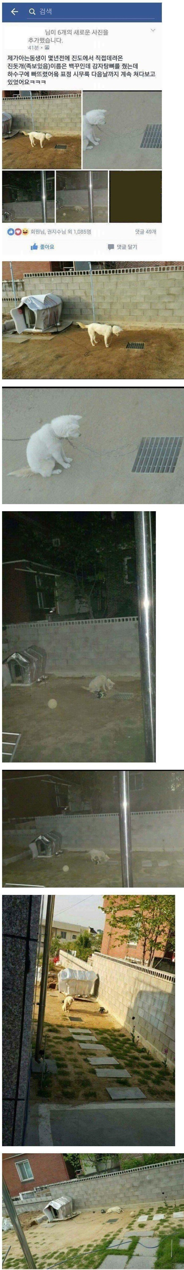 1713663047251.jpeg