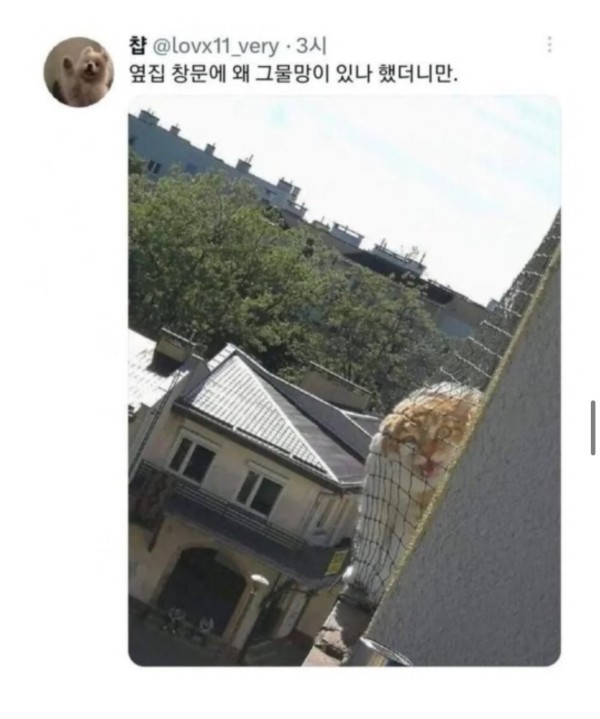 17140500671143.jpg