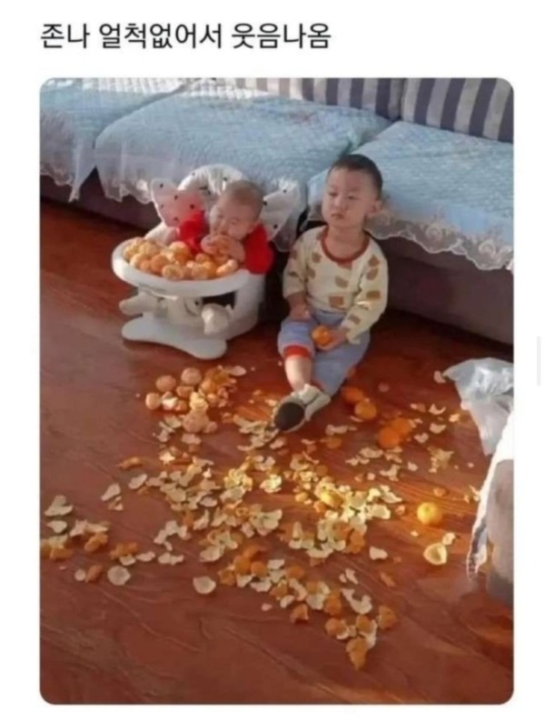 17140500676196.jpg