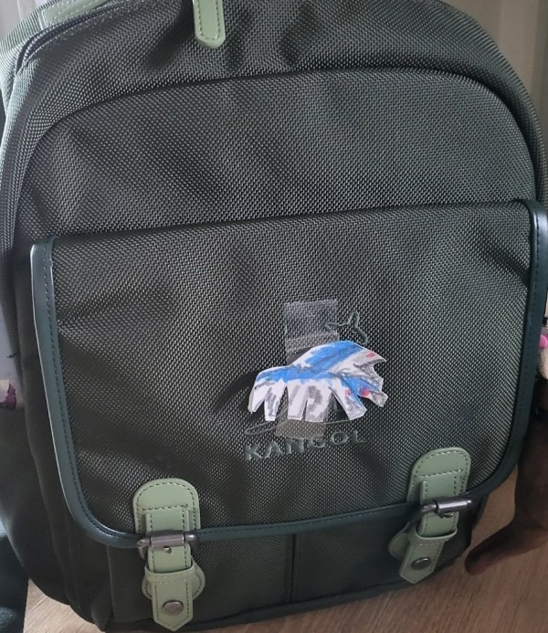 17141112708931.jpeg